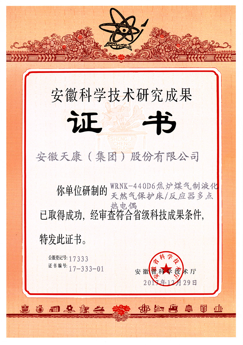 WRNK-440D6焦爐煤氣制液化天然氣保護床反應器多點熱電偶